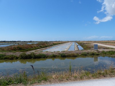 P1270743