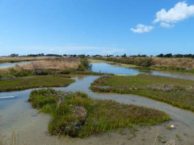 P1270757