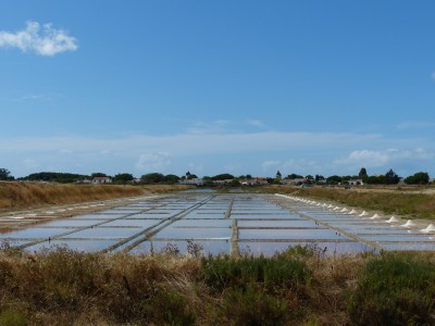 P1270760