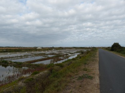 P1270825