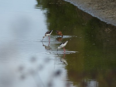 P1270847