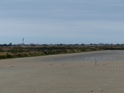 P1270880