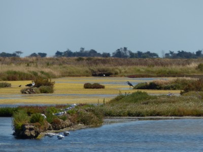 P1270961