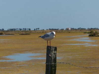 P1270986