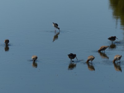 P1280005