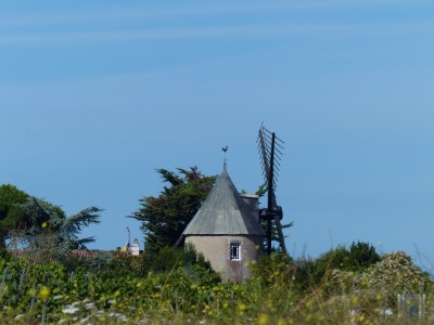 P1280176