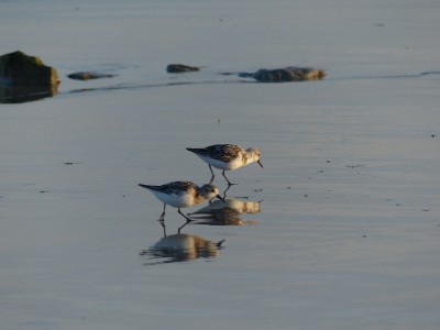 P1280241