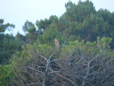P1280254