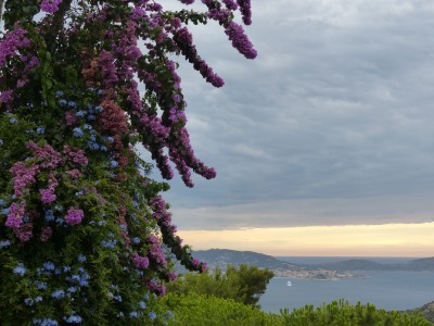 P1280523