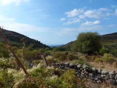 P1280741