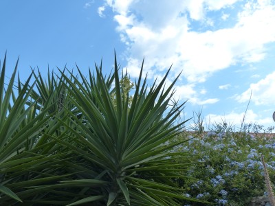 P1280870