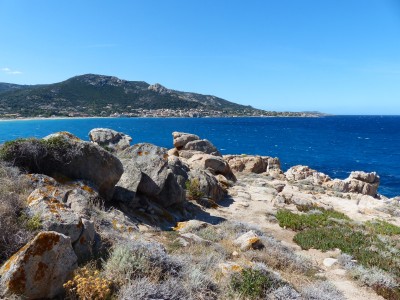 P1290008