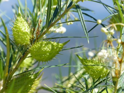P1290054