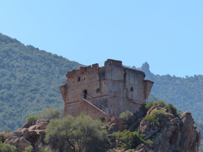 P1290091