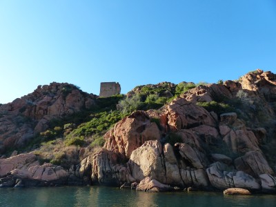 P1290311