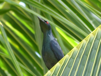 P1010250