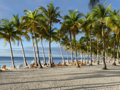 Ile de Panglao