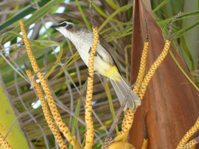 P1010355