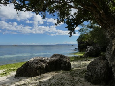 Ile de Panglao