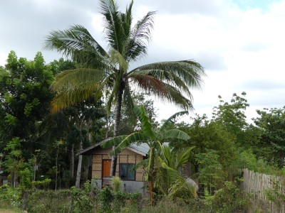 P1010371