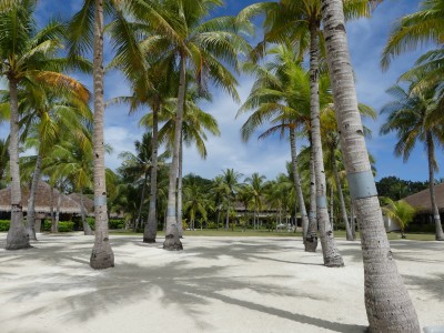 Ile de Panglao