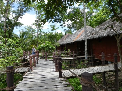 Loboc