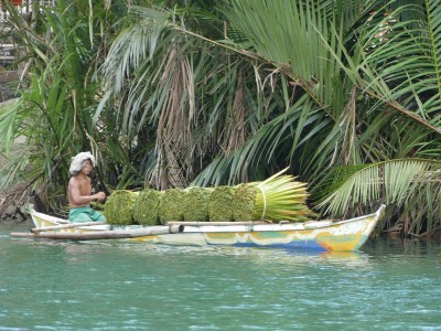 Loboc