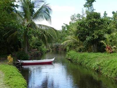 Loboc