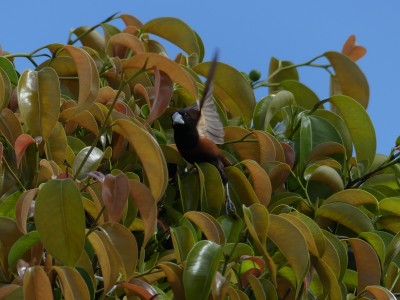 P1010459