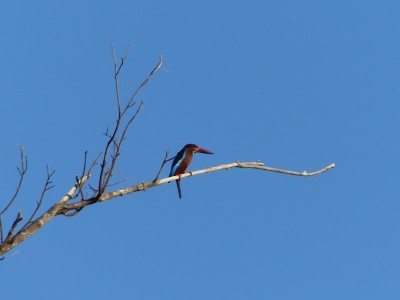 P1010555