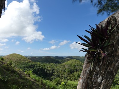 Chocolate Hills, Bohol
