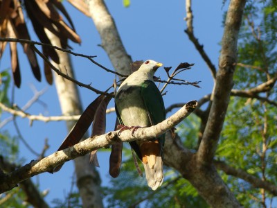 P1020361