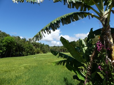 P1020587