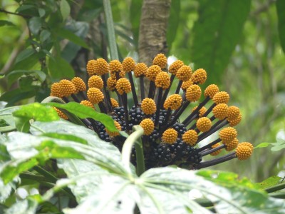 P1020768