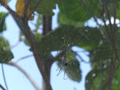 P1020792