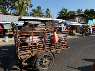Marché Malatapay, Dumaguete