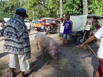 Marché Malatapay, Dumaguete
