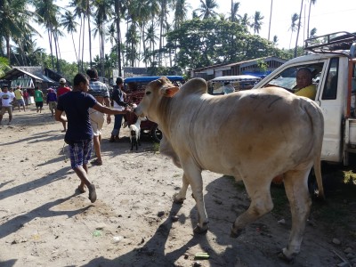 Marché Malatapay, Dumaguete
