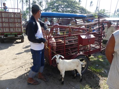 Marché Malatapay, Dumaguete