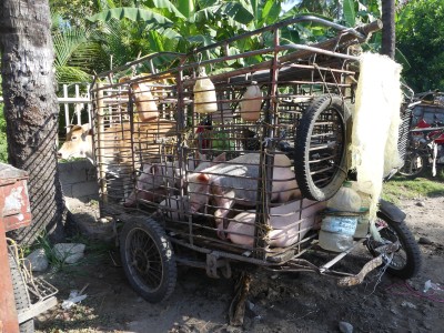 Marché Malatapay, Dumaguete
