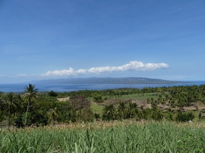 P1030239