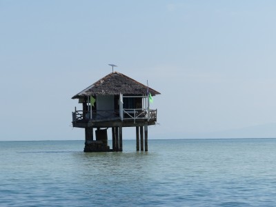 P1030266