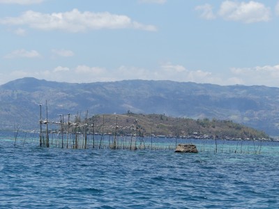 P1030562