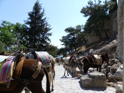 Lindos Acropolis