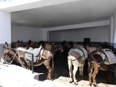 Lindos