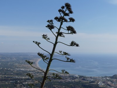 P1040587