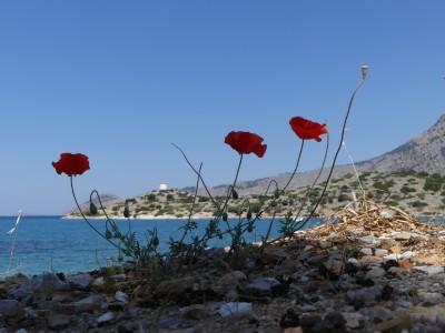 P1050124