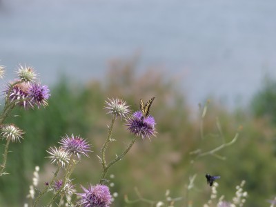 P1050444