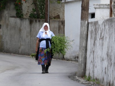 P1050477