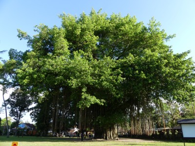 P1060936